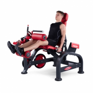 SEATED LEG CURLING / 1FW183