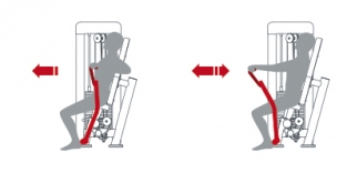 VERTICAL CHEST CONVERGENT / 1SC034