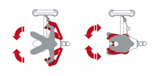 PECTORAL MACHINE / 1SC035