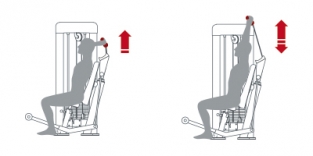 TRICEPS MACHINE / 1SC053