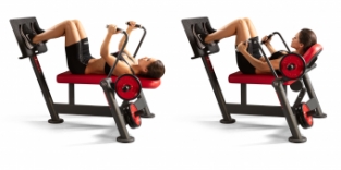 AB CRUNCH BENCH / 1SC218