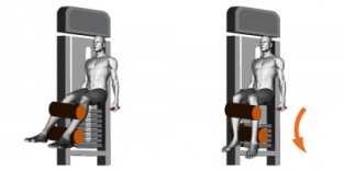 SEATED LEG CURLING / 1SC083