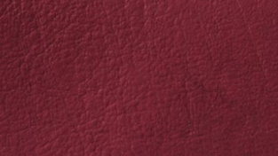 Sky Ruby