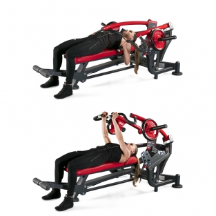 HORIZONTAL BENCH PRESS / 1HP537B