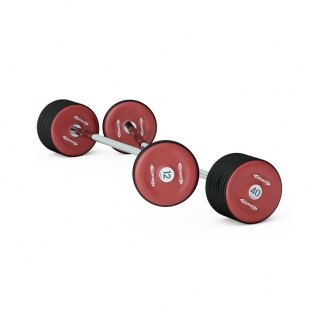 PRE-LOADED BARBELLS FULL / 1pbf10-1pbf50