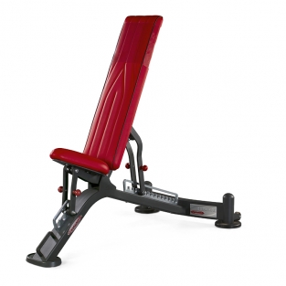 FULLY ADJUSTABLE BENCH / 1HP201