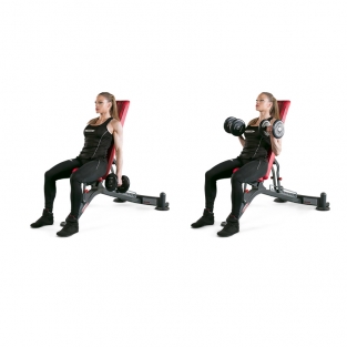 FULLY ADJUSTABLE BENCH / 1HP201