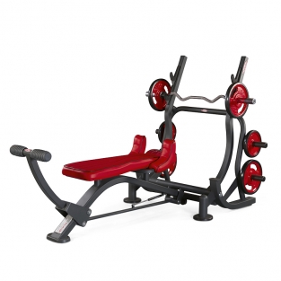 TRICEPS BENCH / 1HP214