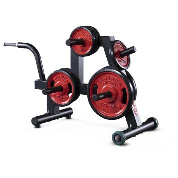 POWERLIFTING DISK RACK / 1PWL201