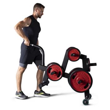 POWERLIFTING DISK RACK / 1PWL201