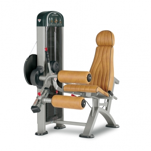 SEATED LEG CURLING / 1XPL083